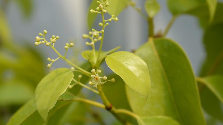 怎么做到“氧生”？7种不花钱的办法不能错失！